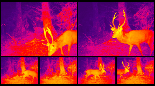 How Thermal Imaging Works