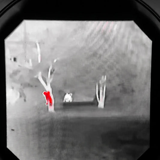 Night Vision for Wildlife Observation and Photography (2026)