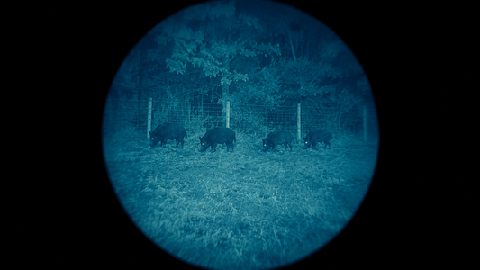 Hog & Coyote Spotting at Night: The Find-and-Confirm Workflow