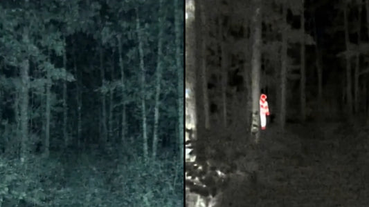 Night Vision vs a Thermal Drone for Property Checks (2026)